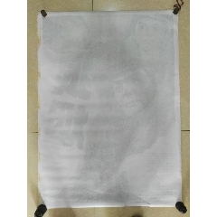 奥塔哥大学 Science and technology diploma